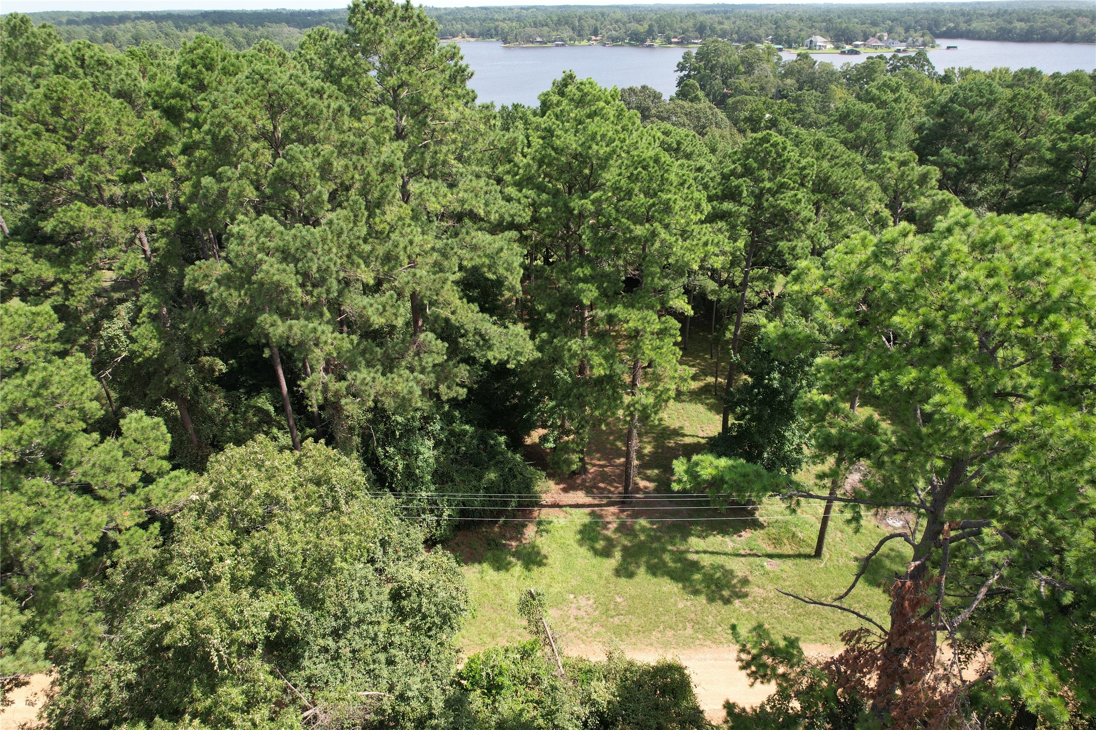 Tbd Cedar Bend Crockett TX 75835