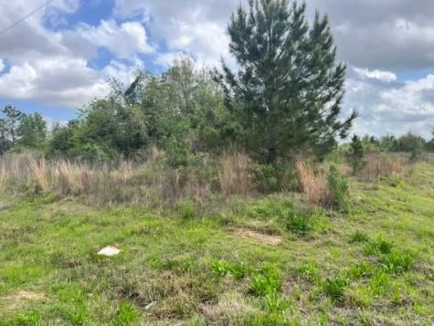 3548 Road 3548 Cleveland TX 77327