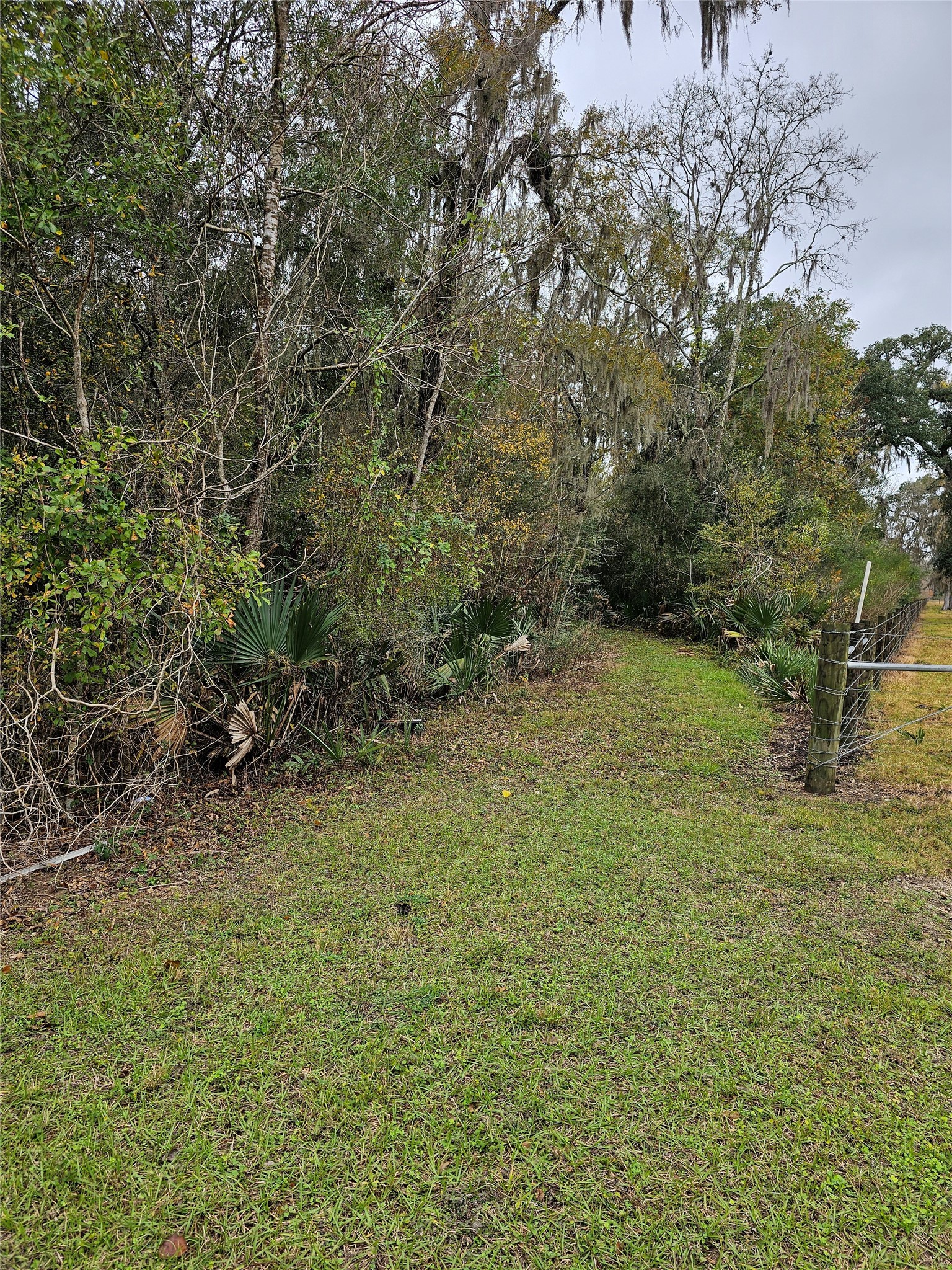 1070 County Road 136 / Live Oak Van Vleck TX 77482