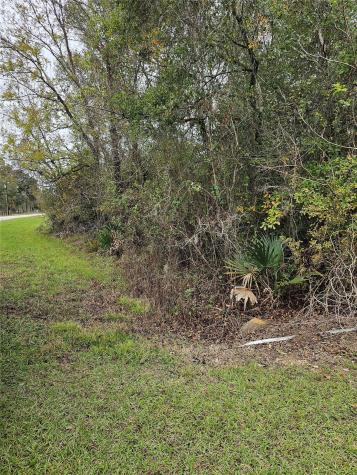 1070 County Road 136 / Live Oak Van Vleck TX 77482