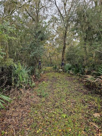 1070 County Road 136 / Live Oak Van Vleck TX 77482