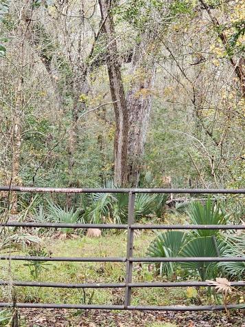 1070 County Road 136 / Live Oak Van Vleck TX 77482