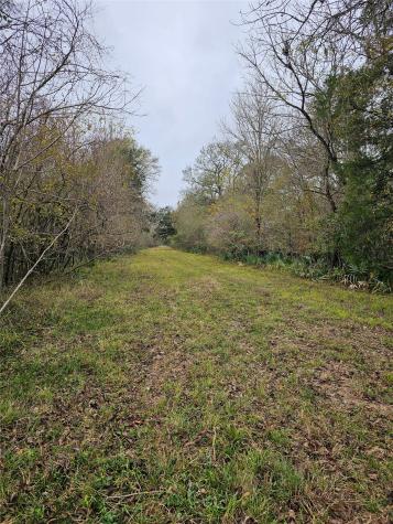 1070 County Road 136 / Live Oak Van Vleck TX 77482