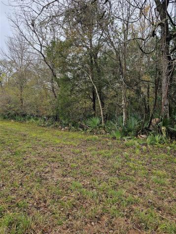 1070 County Road 136 / Live Oak Van Vleck TX 77482