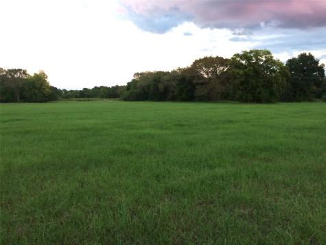347 E Caroline Street Trinity TX 75862