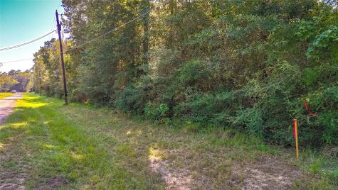 Tbd 27 Timber Grove Livingston TX 77351