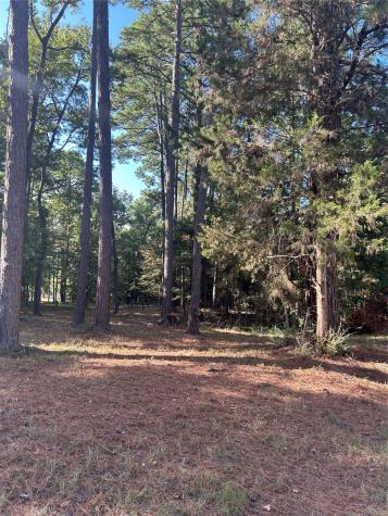 36373839 Rob Livingston TX 77351