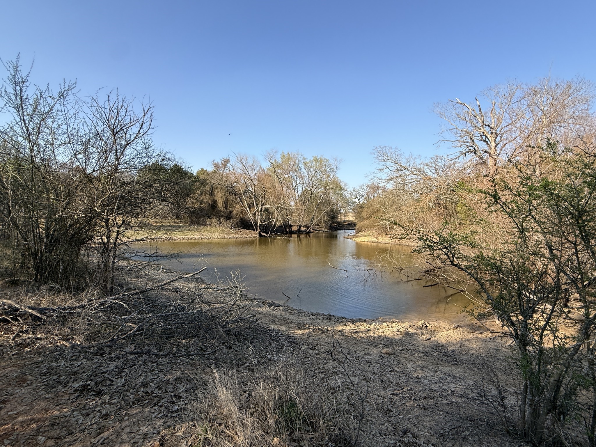 Tbd Tract 8 Fcr 445 Fairfield TX 75840