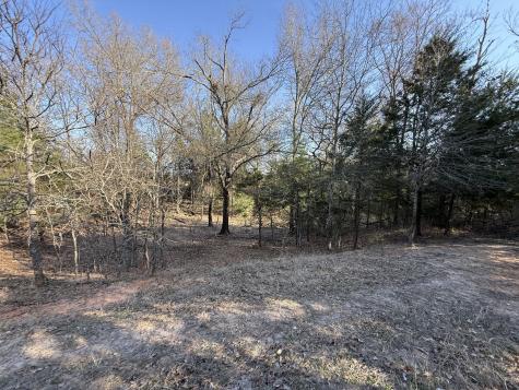 Tbd Tract 8 Fcr 445 Fairfield TX 75840
