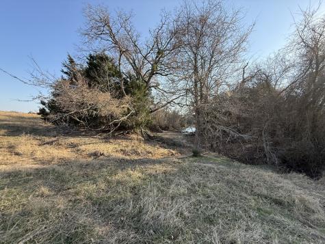 Tbd Tract 8 Fcr 445 Fairfield TX 75840