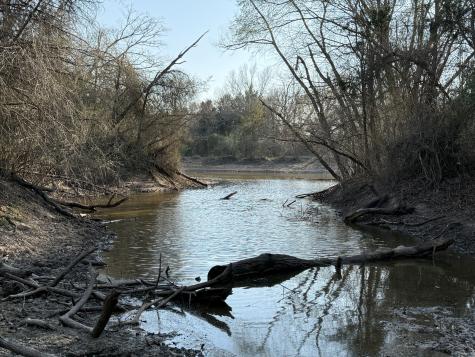 Tbd Tract 8 Fcr 445 Fairfield TX 75840
