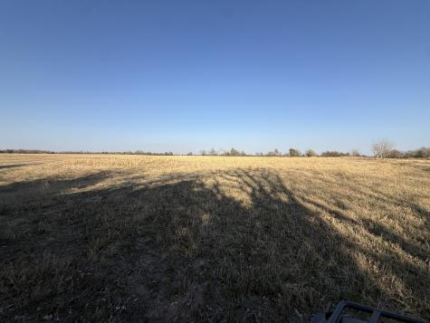 Tbd Tract 8 Fcr 445 Fairfield TX 75840