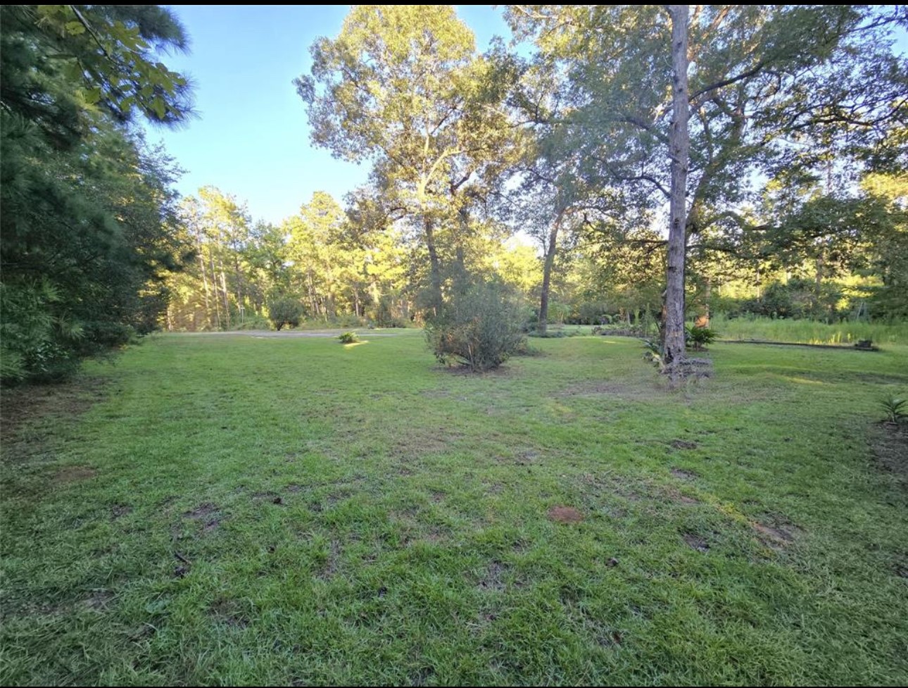 654 The Ole Don Road Livingston TX 77351