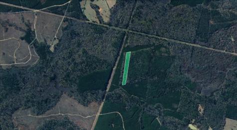 00 Menard Chapel Road Livingston TX 77351