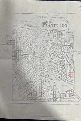 Lot 3 Tara Drive Trinity TX 75862