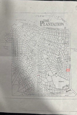 Lot 3 Tara Drive Trinity TX 75862
