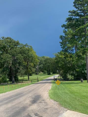 Lot 3 Tara Drive Trinity TX 75862