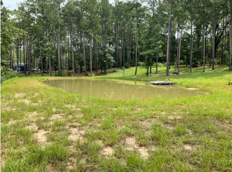768 County Road 219 Brookeland TX 75931