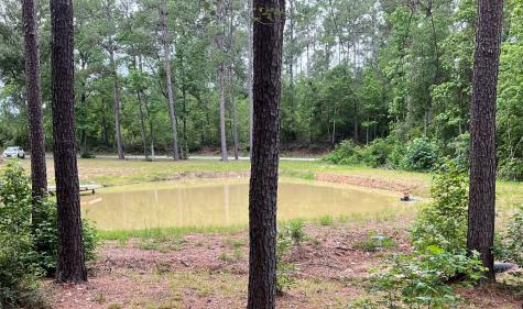 768 County Road 219 Brookeland TX 75931