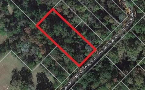 00 N Lincoln Wiggins Street Livingston TX 77351