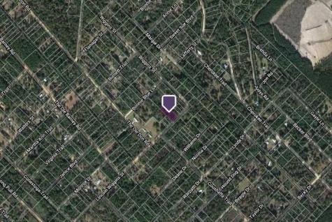 00 N Lincoln Wiggins Street Livingston TX 77351