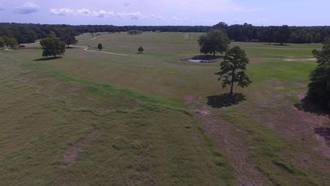 Lot 21 Charleston Street Trinity TX 75862
