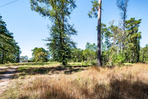 9537 State Highway 146 S Livingston TX 77351