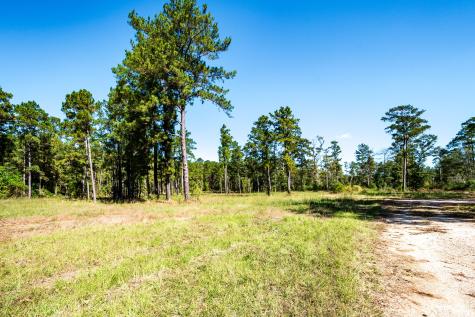 9537 State Highway 146 S Livingston TX 77351