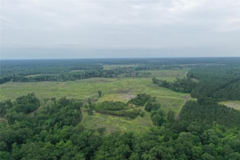 Tract 1 Strickland Fm 2625 Waskom TX 75962