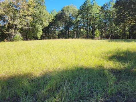 500 S Pine Lake Road Montgomery TX 77316