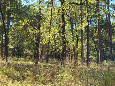 500 S Pine Lake Road Montgomery TX 77316