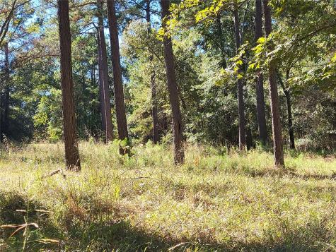 500 S Pine Lake Road Montgomery TX 77316