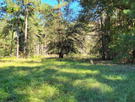 500 S Pine Lake Road Montgomery TX 77316