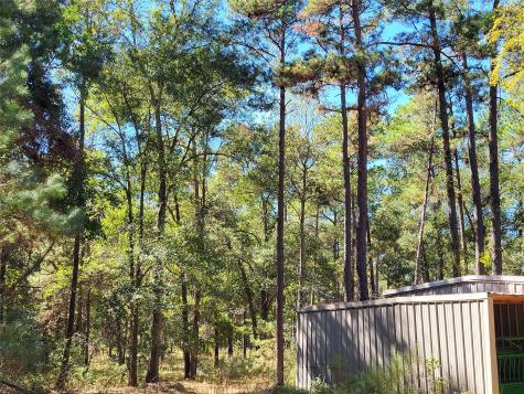 500 S Pine Lake Road Montgomery TX 77316