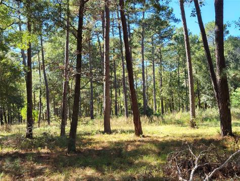 500 S Pine Lake Road Montgomery TX 77316