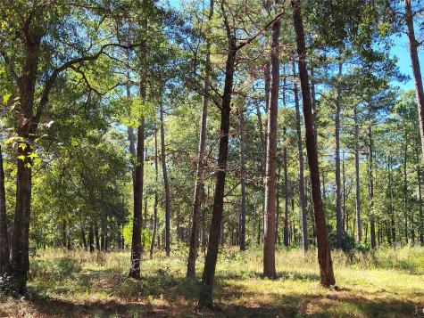 500 S Pine Lake Road Montgomery TX 77316