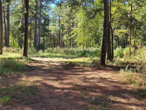 500 S Pine Lake Road Montgomery TX 77316