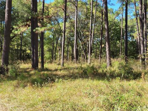 500 S Pine Lake Road Montgomery TX 77316
