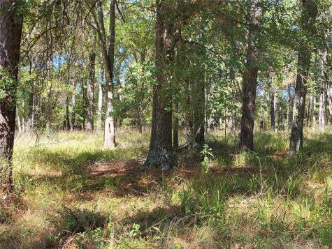 500 S Pine Lake Road Montgomery TX 77316