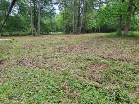 500 S Pine Lake Road Montgomery TX 77316