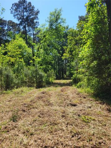 500 S Pine Lake Road Montgomery TX 77316