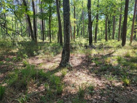 500 S Pine Lake Road Montgomery TX 77316