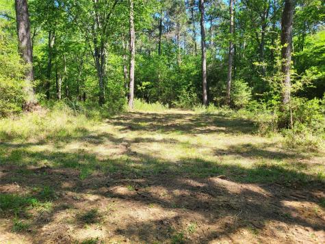 500 S Pine Lake Road Montgomery TX 77316