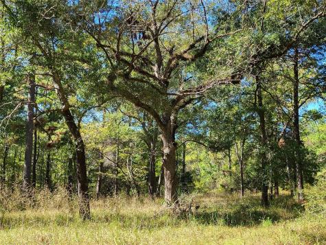 500 S Pine Lake Road Montgomery TX 77316