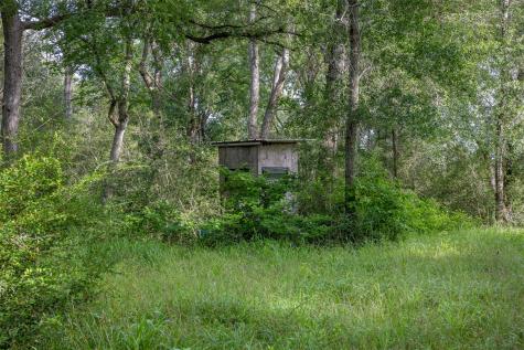 Tbd Schoenst Road Carmine TX 78932