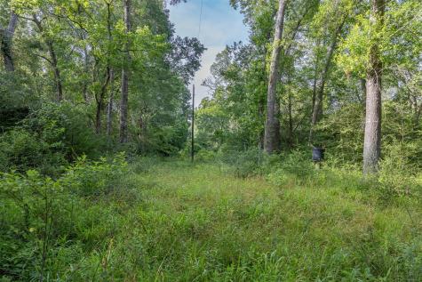 Tbd Schoenst Road Carmine TX 78932