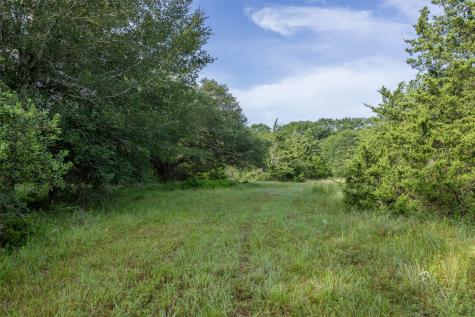 Tbd Schoenst Road Carmine TX 78932