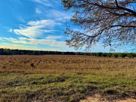 Lot 103 Lakeland Drive Hillister TX 77624