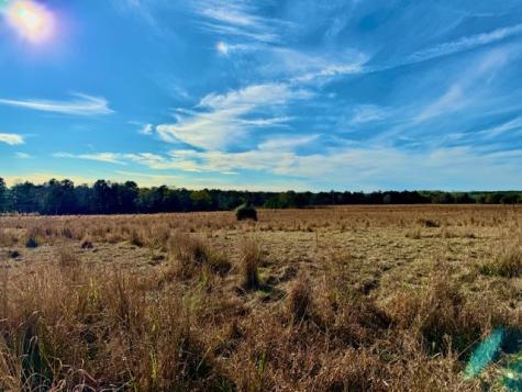 Lot 103 Lakeland Drive Hillister TX 77624