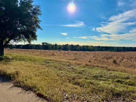 Lot 103 Lakeland Drive Hillister TX 77624
